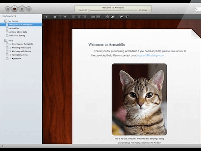 Audio Notes for Mac Screenshot